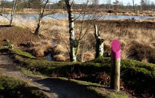 Coach-De-Wandeling-Assen