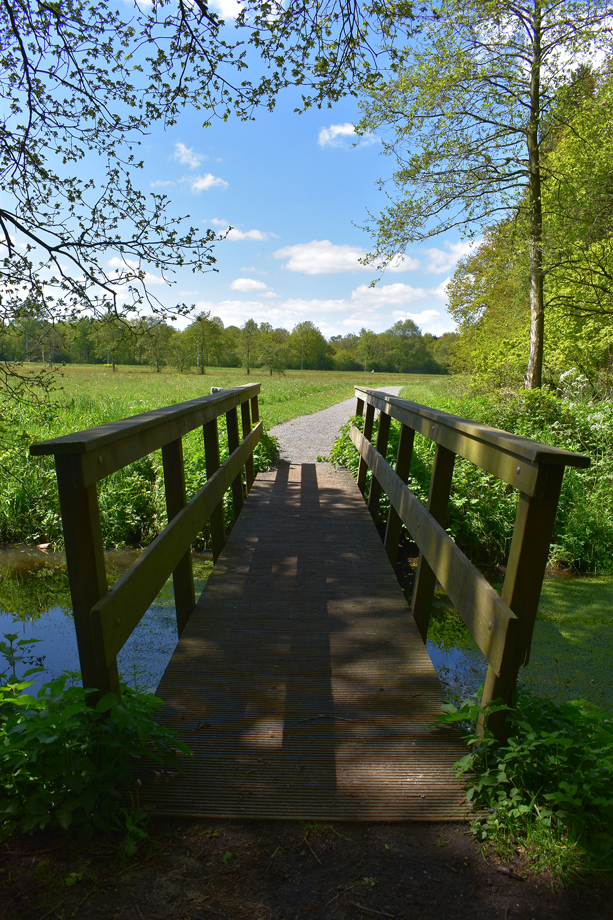 Coachingspraktijk-De-Wandeling-Assen-wandelen-brug Coachingspraktijk-De-Wandeling-Assen-wandelen-brug